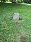 image of grave number 263509